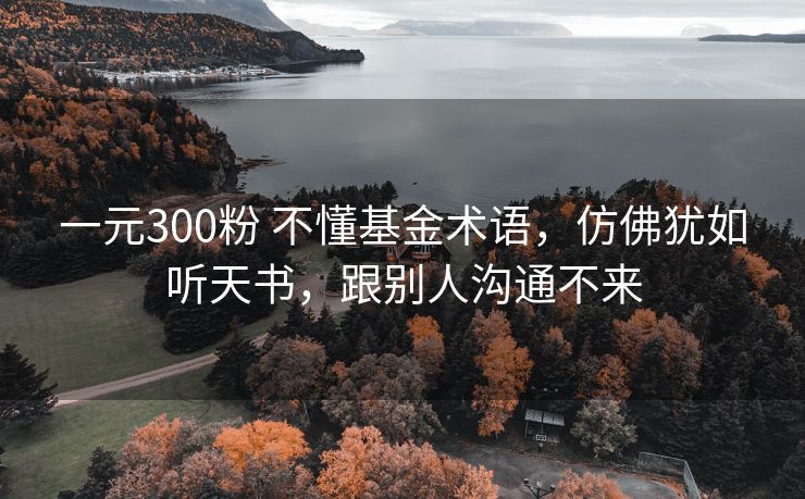 一元300粉 不懂基金术语，仿佛犹如听天书，跟别人沟通不来