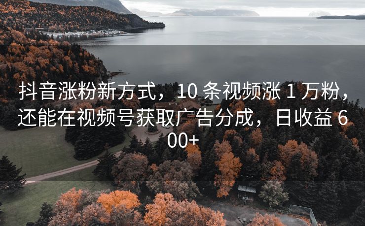 抖音涨粉新方式，10 条视频涨 1 万粉，还能在视频号获取广告分成，日收益 600+