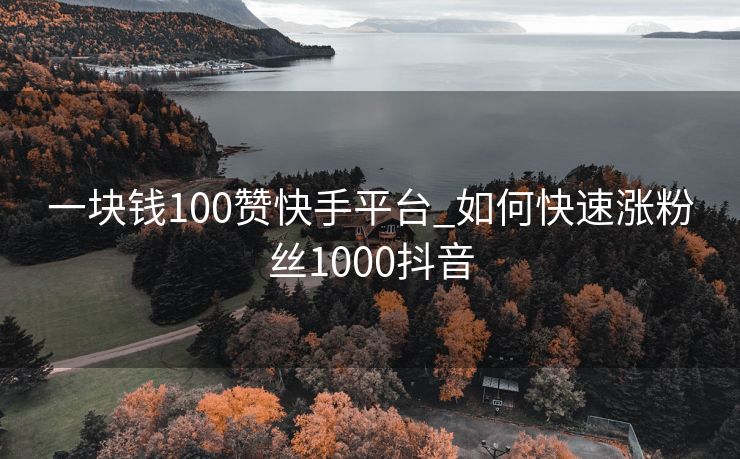 一块钱100赞快手平台_如何快速涨粉丝1000抖音