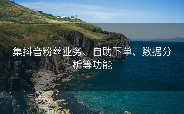 集抖音粉丝业务、自助下单、数据分析等功能