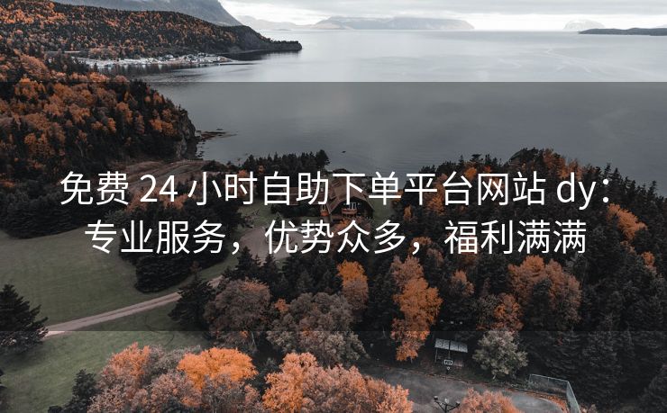 免费 24 小时自助下单平台网站 dy：专业服务，优势众多，福利满满