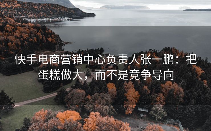 快手电商营销中心负责人张一鹏：把蛋糕做大，而不是竞争导向