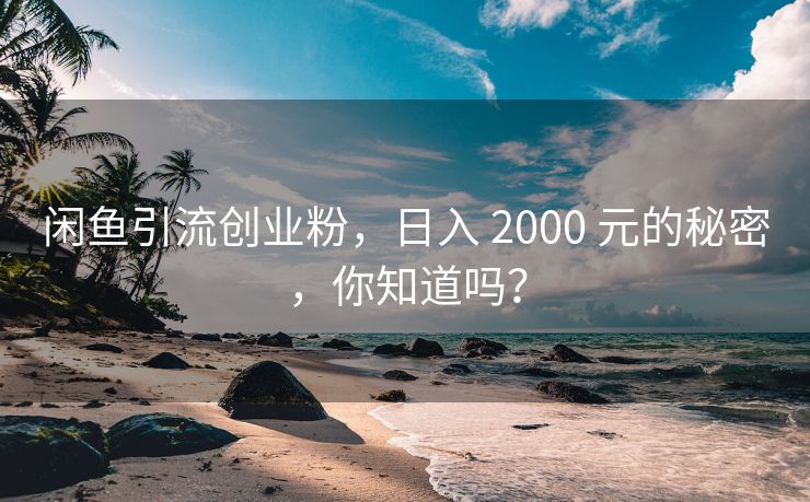 闲鱼引流创业粉，日入 2000 元的秘密，你知道吗？