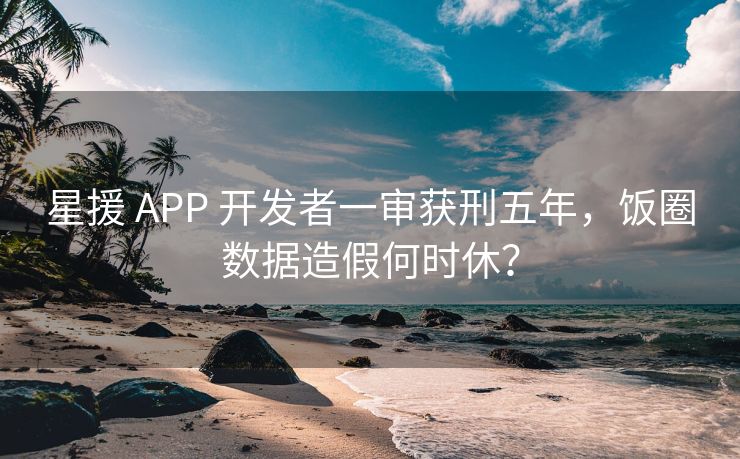 星援 APP 开发者一审获刑五年，饭圈数据造假何时休？