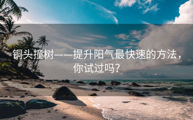 铜头撞树——提升阳气最快速的方法，你试过吗？