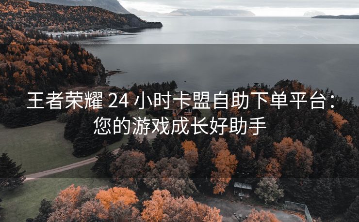 王者荣耀 24 小时卡盟自助下单平台：您的游戏成长好助手