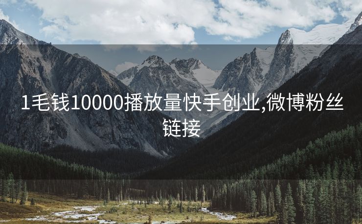 1毛钱10000播放量快手创业,微博粉丝链接