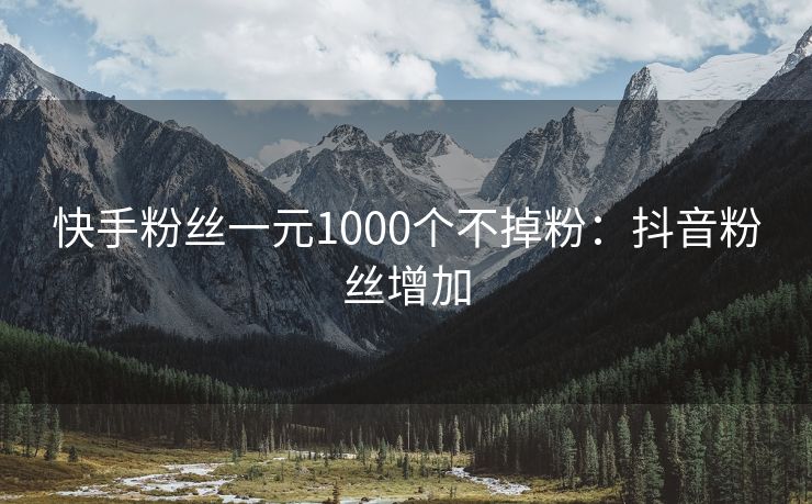 快手粉丝一元1000个不掉粉：抖音粉丝增加