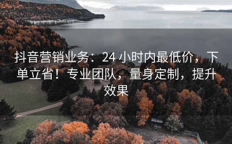 抖音营销业务：24 小时内最低价，下单立省！专业团队，量身定制，提升效果