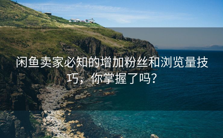 闲鱼卖家必知的增加粉丝和浏览量技巧，你掌握了吗？