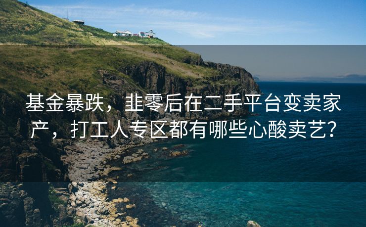 基金暴跌，韭零后在二手平台变卖家产，打工人专区都有哪些心酸卖艺？