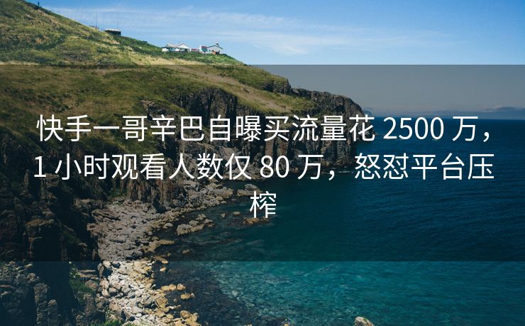 快手一哥辛巴自曝买流量花 2500 万，1 小时观看人数仅 80 万，怒怼平台压榨