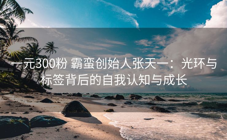 一元300粉 霸蛮创始人张天一：光环与标签背后的自我认知与成长