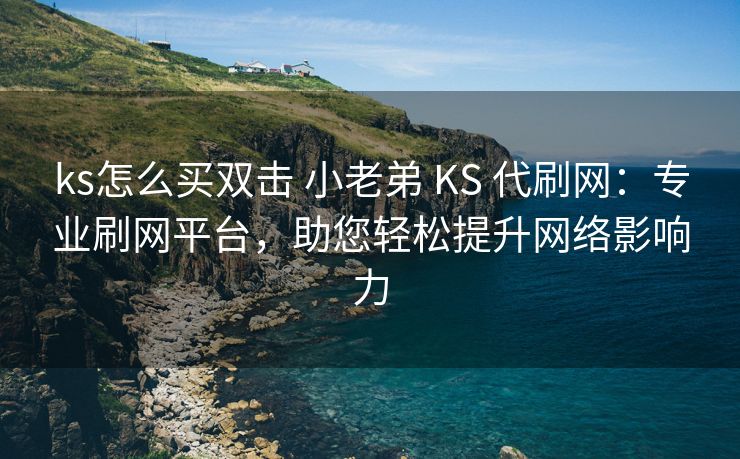 ks怎么买双击 小老弟 KS 代刷网：专业刷网平台，助您轻松提升网络影响力