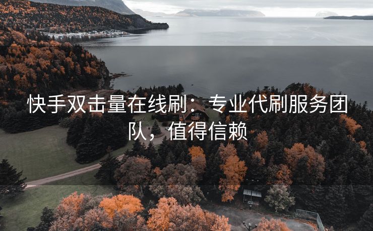 快手双击量在线刷：专业代刷服务团队，值得信赖