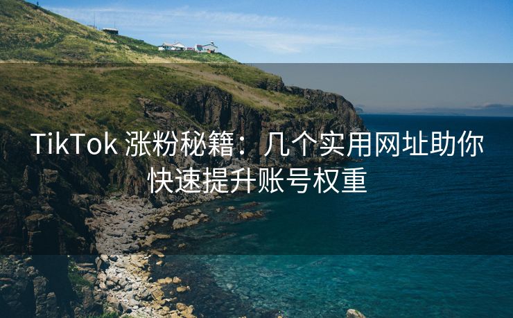 TikTok 涨粉秘籍：几个实用网址助你快速提升账号权重