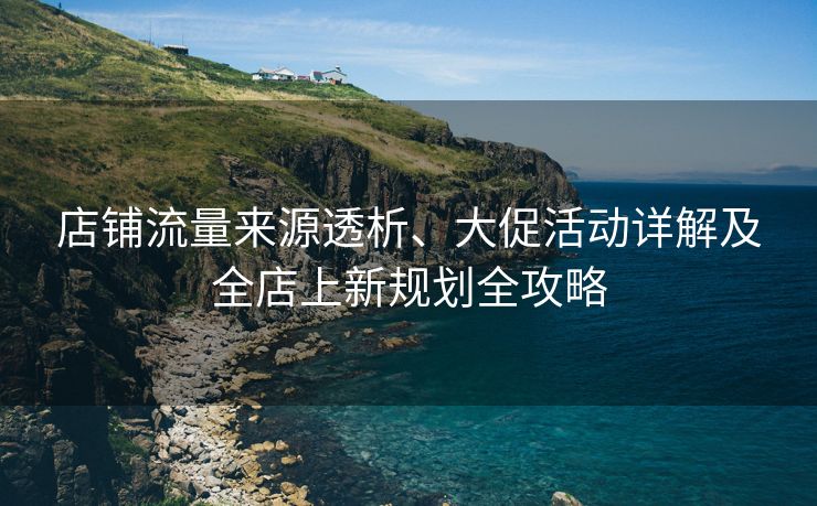 店铺流量来源透析、大促活动详解及全店上新规划全攻略