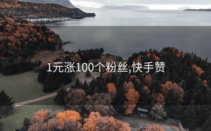 1元涨100个粉丝,快手赞