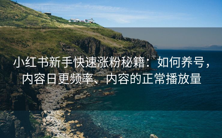 小红书新手快速涨粉秘籍：如何养号，内容日更频率、内容的正常播放量