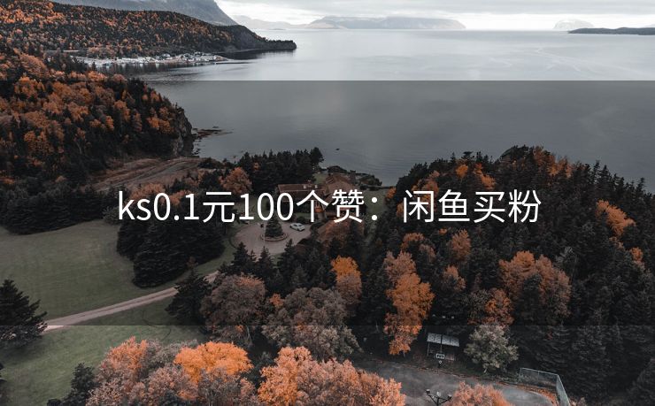 ks0.1元100个赞：闲鱼买粉