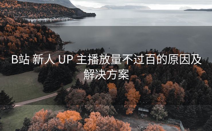 B站 新人 UP 主播放量不过百的原因及解决方案