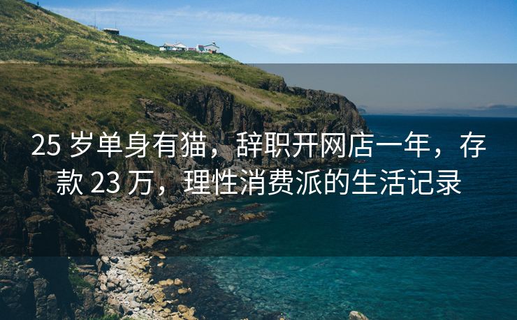 25 岁单身有猫，辞职开网店一年，存款 23 万，理性消费派的生活记录