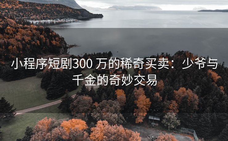 小程序短剧300 万的稀奇买卖：少爷与千金的奇妙交易