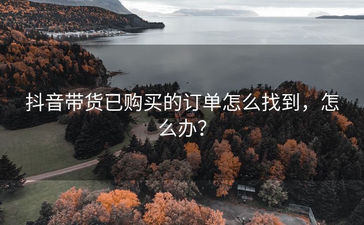 抖音带货已购买的订单怎么找到，怎么办？