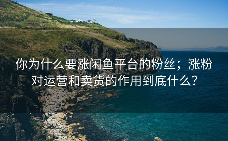 你为什么要涨闲鱼平台的粉丝；涨粉对运营和卖货的作用到底什么？