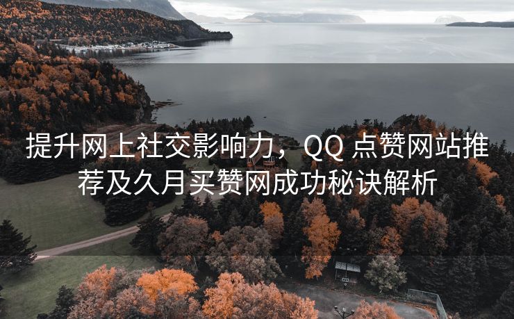 提升网上社交影响力，QQ 点赞网站推荐及久月买赞网成功秘诀解析