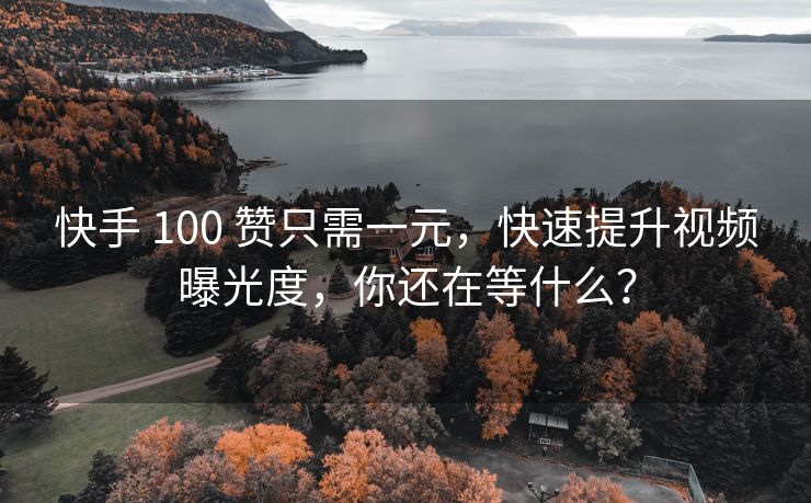 快手 100 赞只需一元，快速提升视频曝光度，你还在等什么？