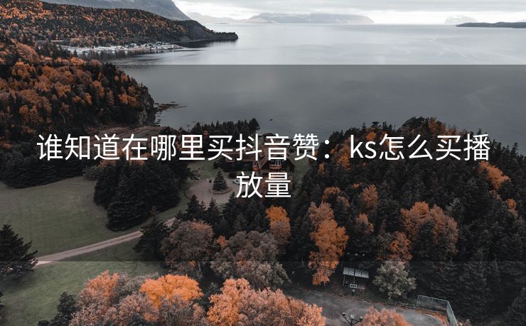 谁知道在哪里买抖音赞：ks怎么买播放量