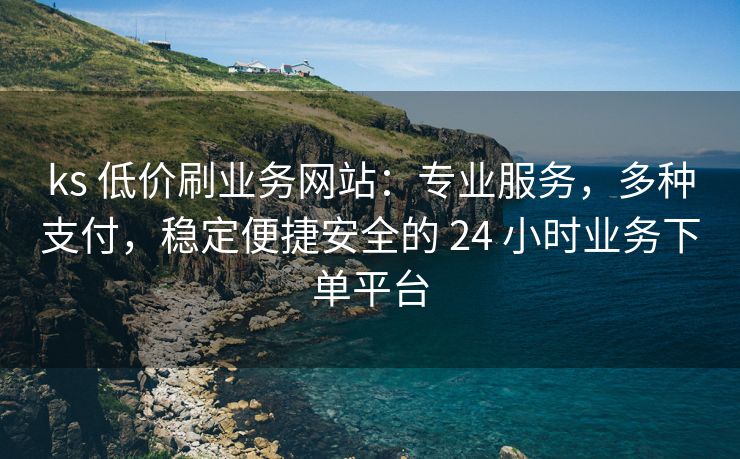 ks 低价刷业务网站：专业服务，多种支付，稳定便捷安全的 24 小时业务下单平台