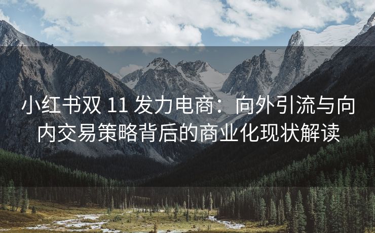 小红书双 11 发力电商：向外引流与向内交易策略背后的商业化现状解读