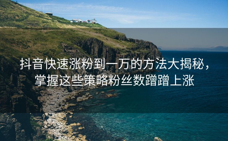 抖音快速涨粉到一万的方法大揭秘，掌握这些策略粉丝数蹭蹭上涨