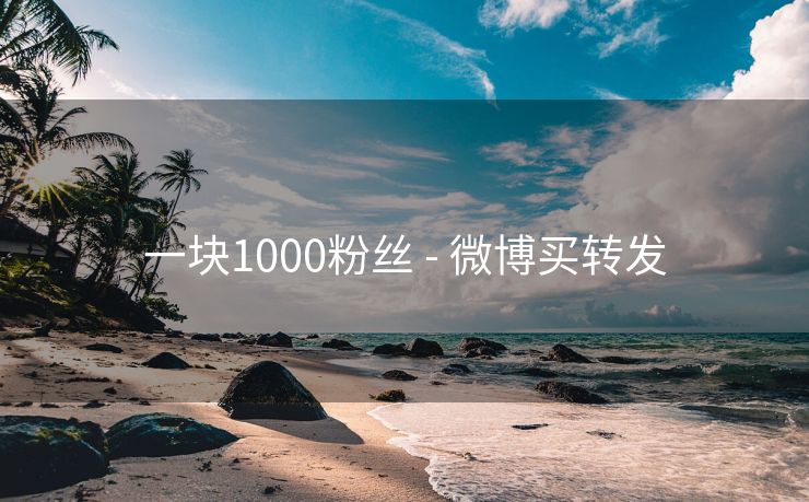 一块1000粉丝 - 微博买转发