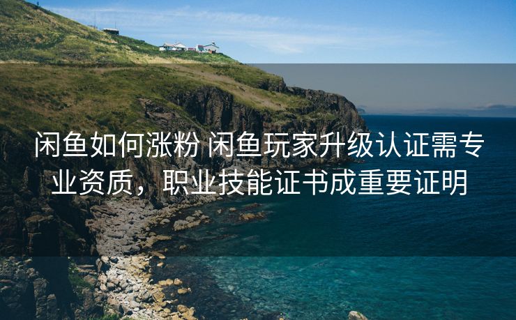 闲鱼如何涨粉 闲鱼玩家升级认证需专业资质，职业技能证书成重要证明