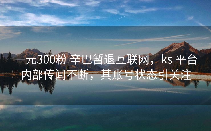 一元300粉 辛巴暂退互联网，ks 平台内部传闻不断，其账号状态引关注