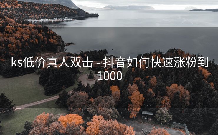 ks低价真人双击 - 抖音如何快速涨粉到1000