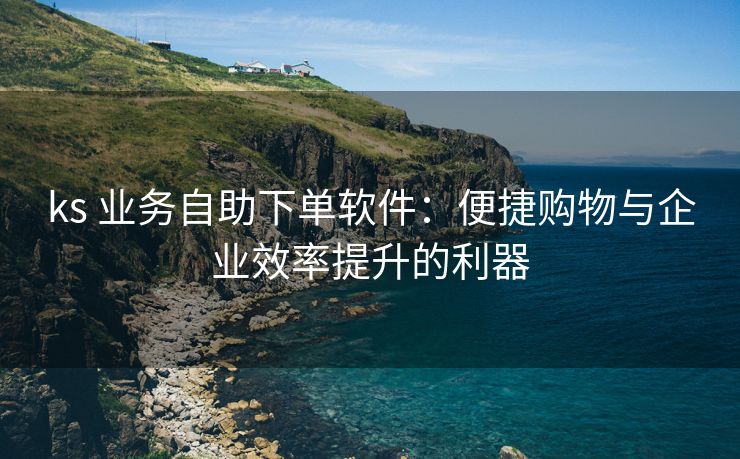 ks 业务自助下单软件：便捷购物与企业效率提升的利器