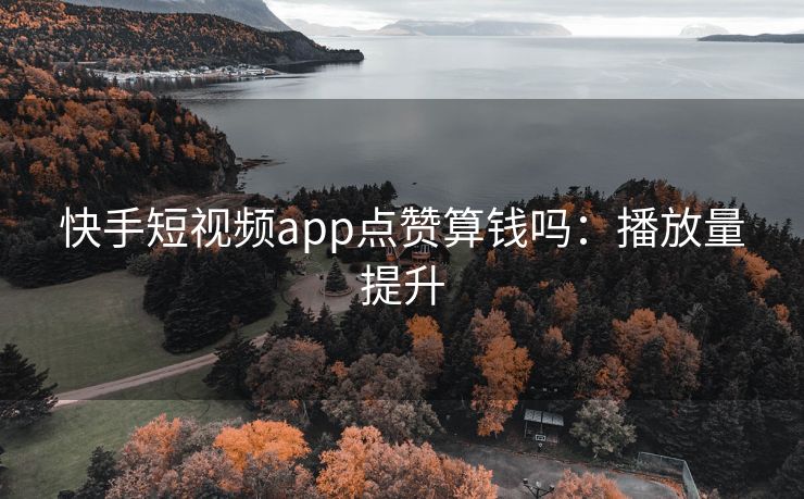 快手短视频app点赞算钱吗：播放量提升