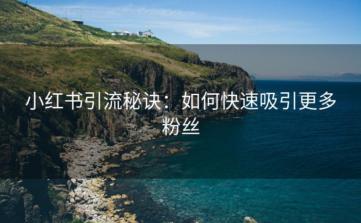 小红书引流秘诀：如何快速吸引更多粉丝