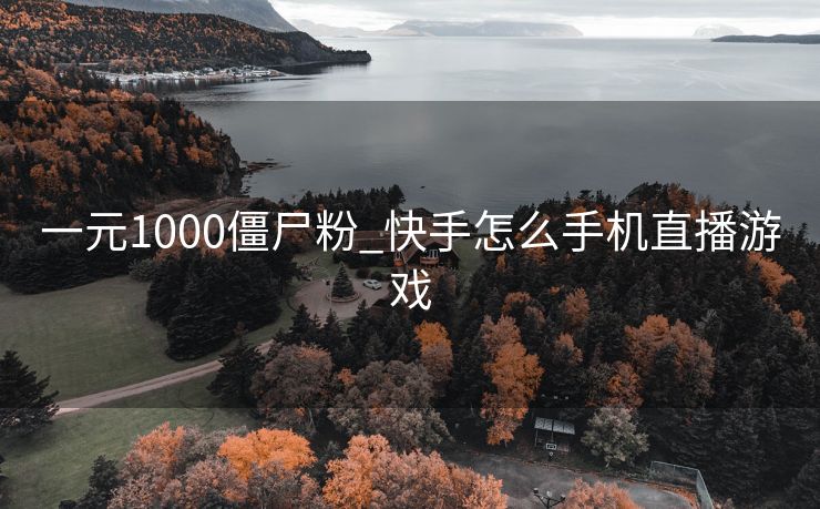 一元1000僵尸粉_快手怎么手机直播游戏