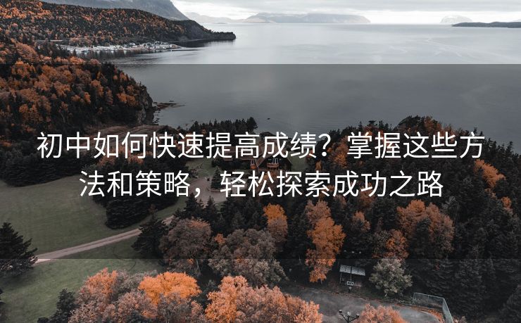 初中如何快速提高成绩？掌握这些方法和策略，轻松探索成功之路