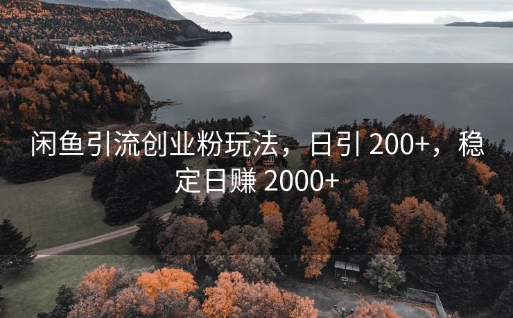 闲鱼引流创业粉玩法，日引 200+，稳定日赚 2000+