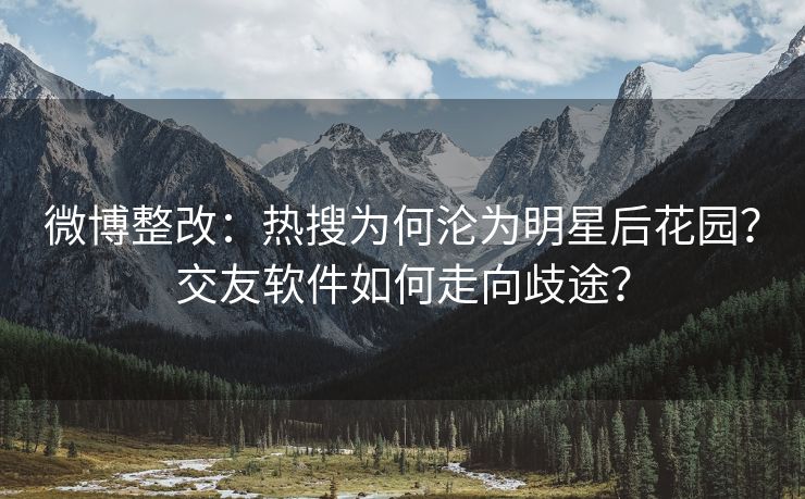 微博整改：热搜为何沦为明星后花园？交友软件如何走向歧途？