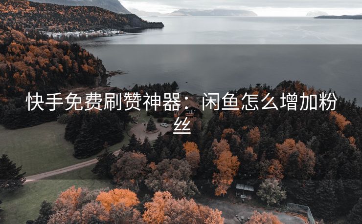 快手免费刷赞神器：闲鱼怎么增加粉丝