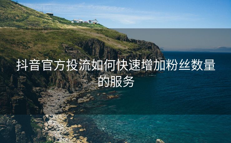 抖音官方投流如何快速增加粉丝数量的服务