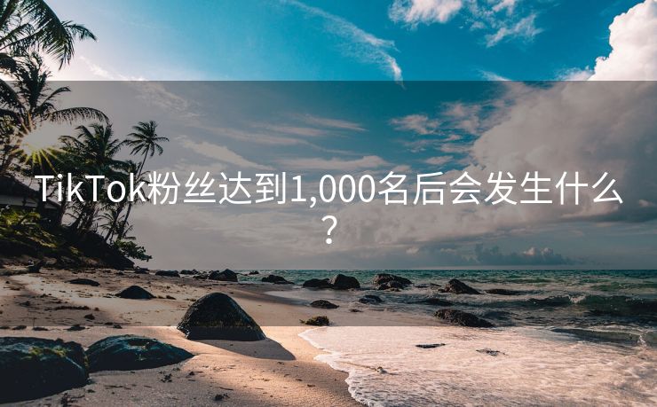 TikTok粉丝达到1,000名后会发生什么？