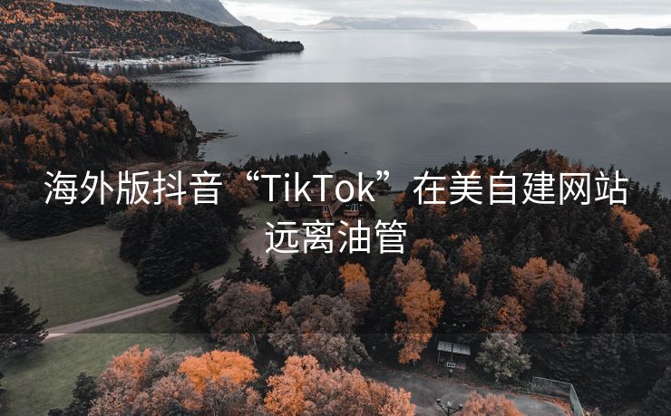 海外版抖音“TikTok”在美自建网站远离油管